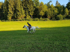 Gut Drasing - Reiten