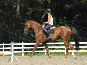 Gut Drasing - Reiten