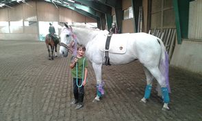 Gut Drasing - Reiten