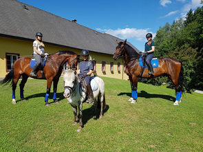 Gut Drasing - Reiten