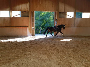 Gut Drasing - Reiten