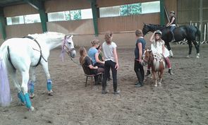 Gut Drasing - Reiten